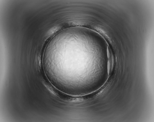 X0000087510398200704271126