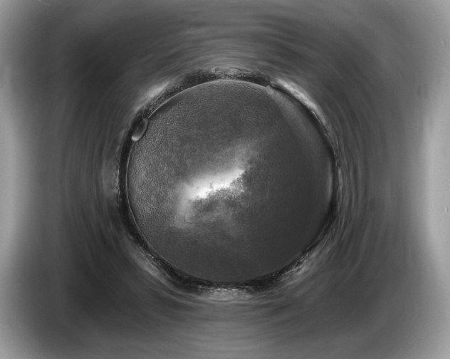 X0000087510399200704271126