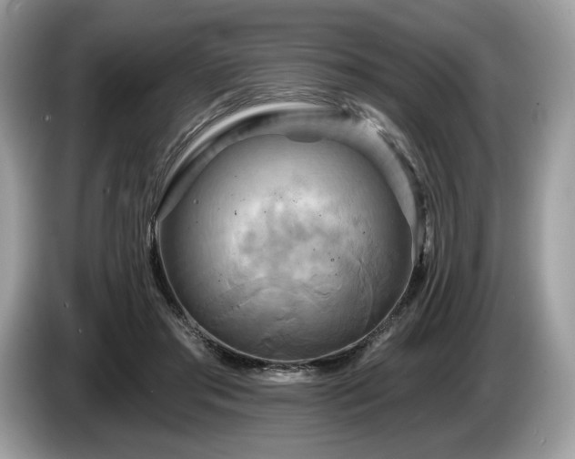 X0000087510405200704271126