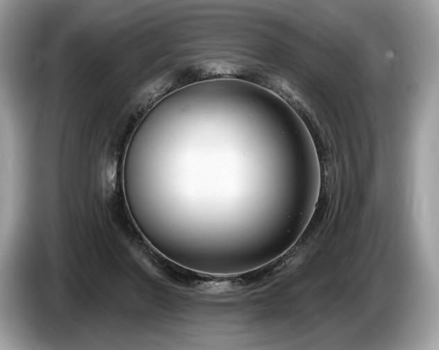 X0000087510406200704271126