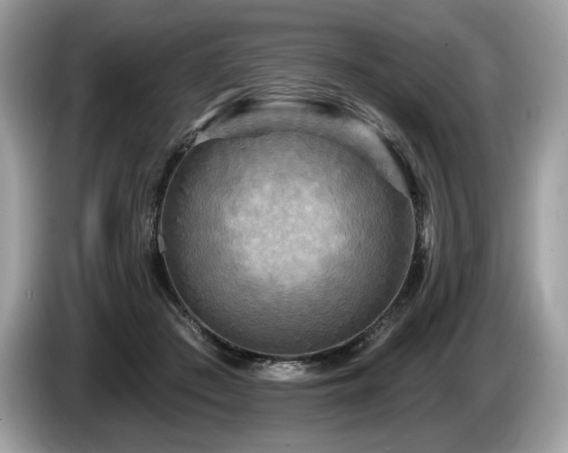 X0000087510409200704271126