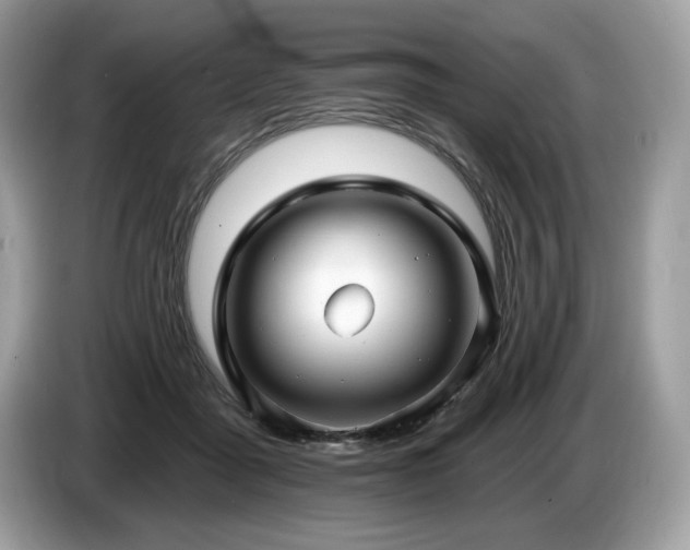 X0000087510411200704271126