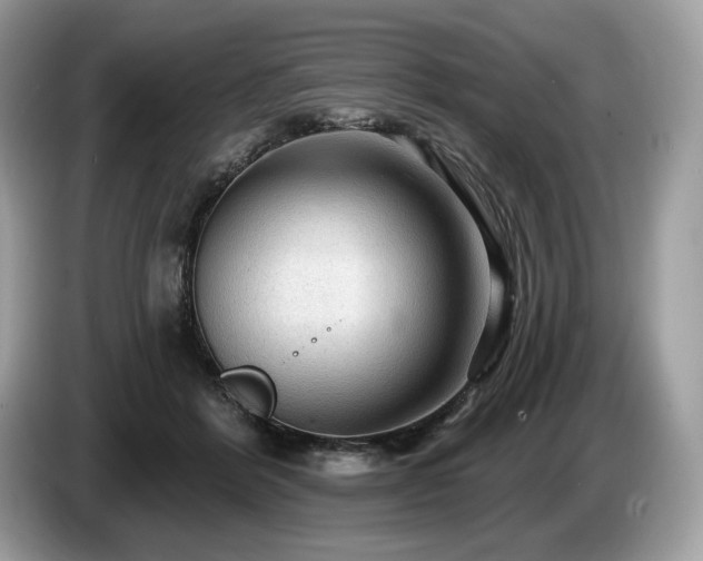 X0000087510412200704271126