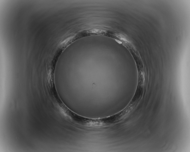 X0000087510415200704271126