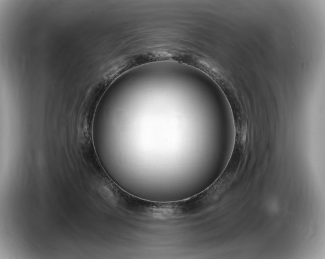 X0000087510418200704271126