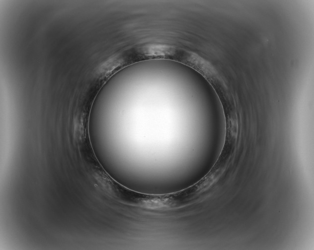 X0000087510422200704271126
