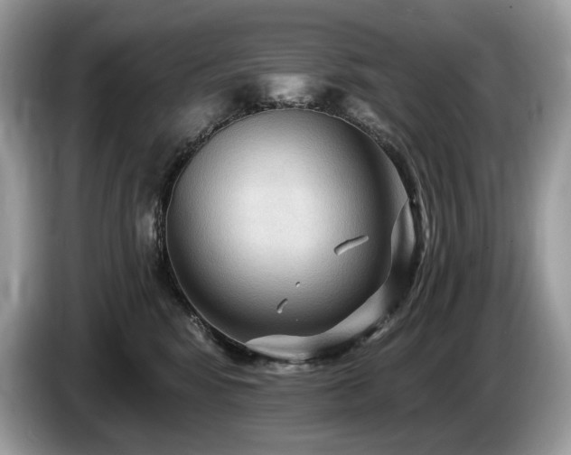 X0000087510424200704271126
