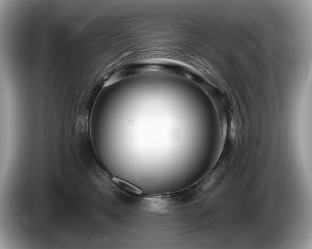 X0000087510425200704271126