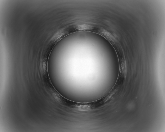 X0000087510426200704271126
