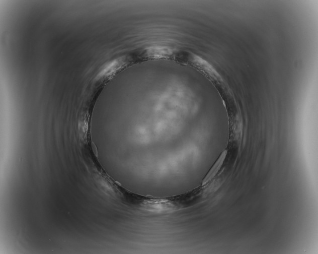 X0000087510427200704271126