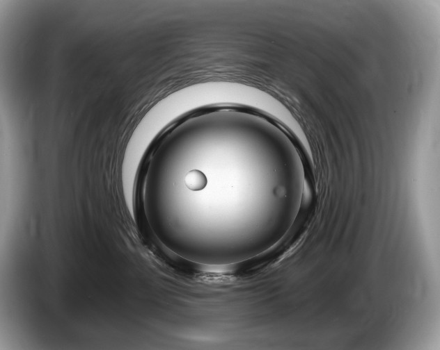 X0000087510429200704271126