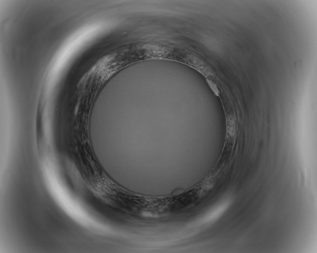 X0000087510431200704271126