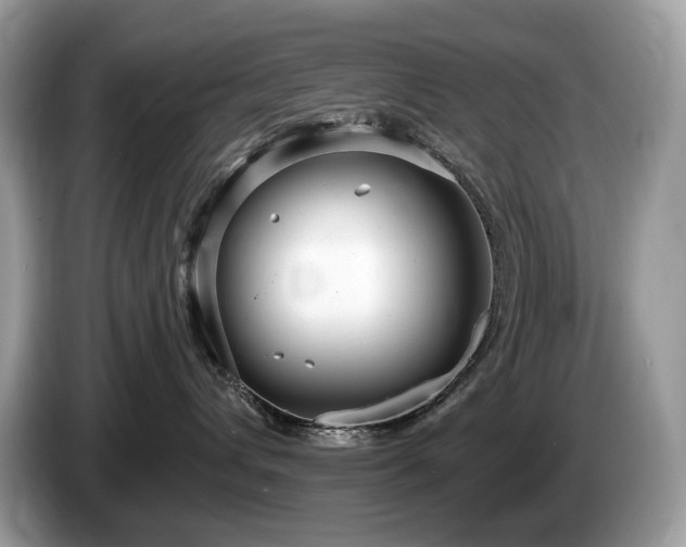 X0000087510432200704271126