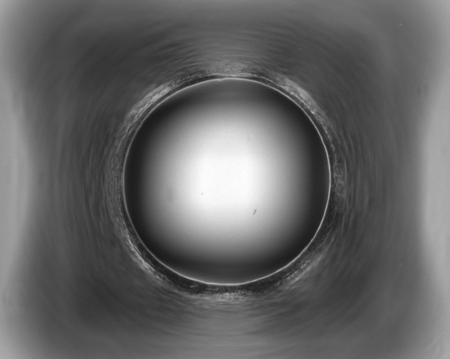 X0000087510433200704271125