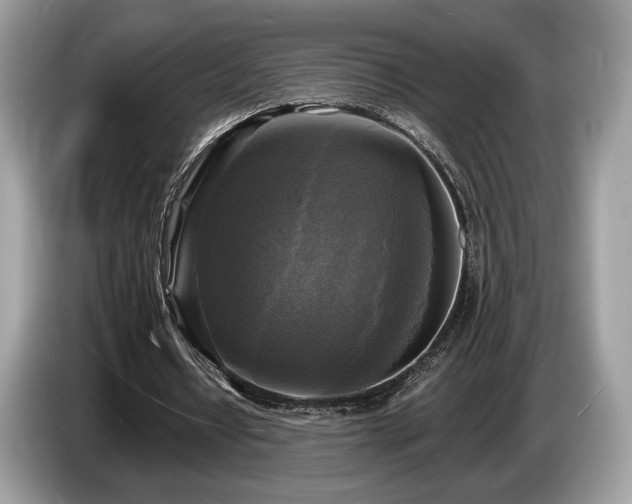 X0000087510434200704271125