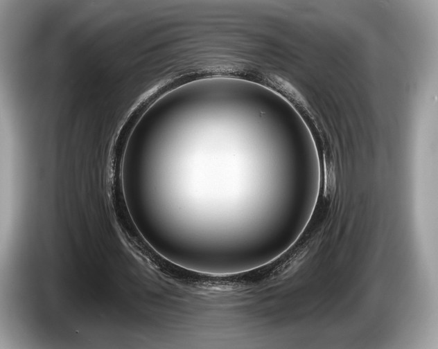 X0000087510435200704271125