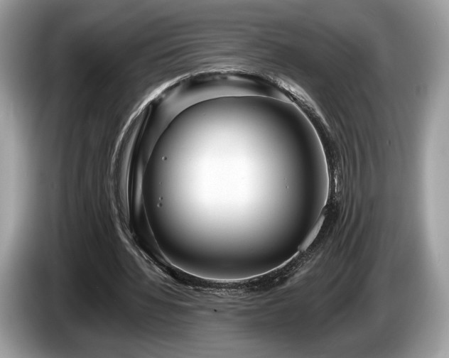 X0000087510436200704271125