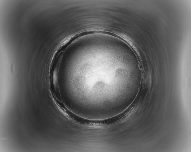 X0000087510437200704271125