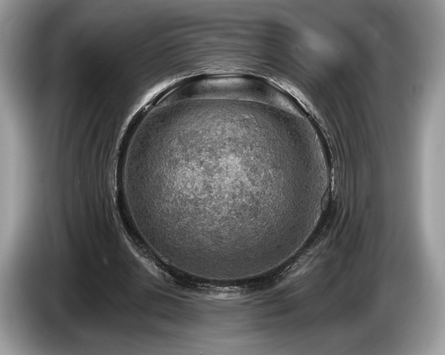 X0000087510438200704271125