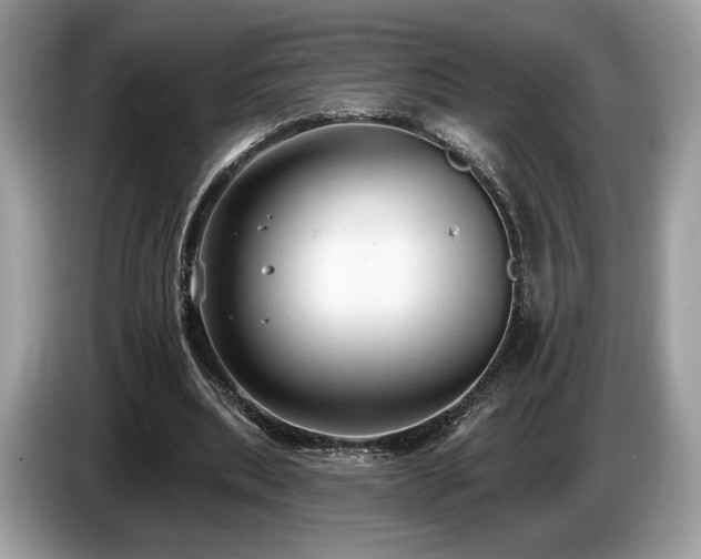 X0000087510439200704271125