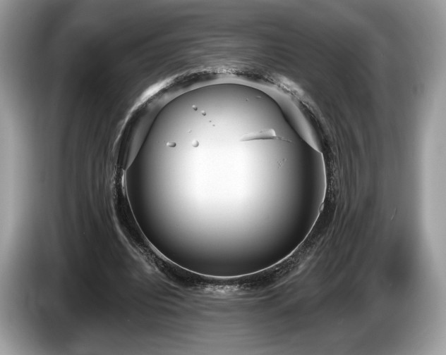 X0000087510440200704271125