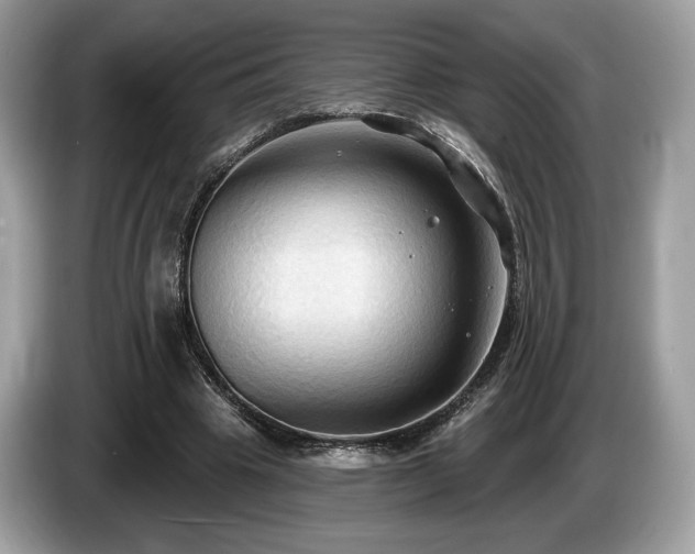 X0000087510441200704271125