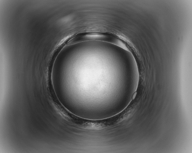 X0000087510442200704271125