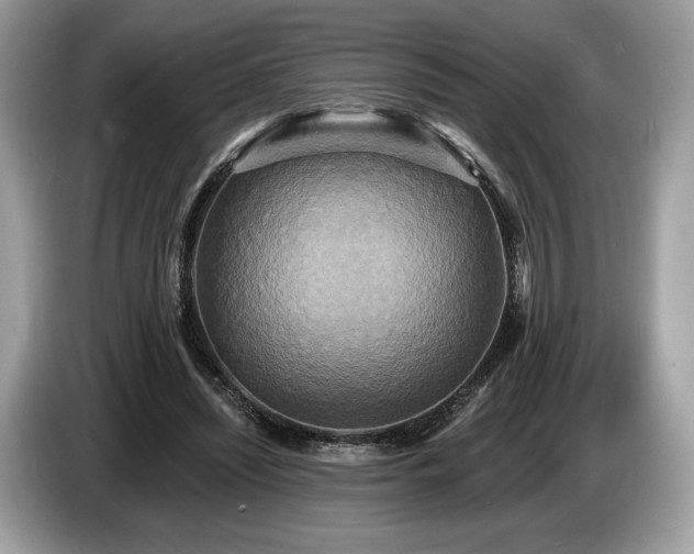 X0000087510444200704271125
