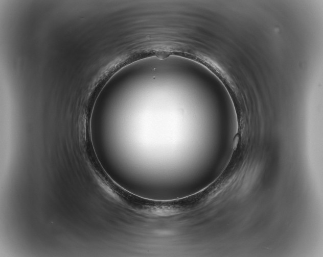 X0000087510445200704271125