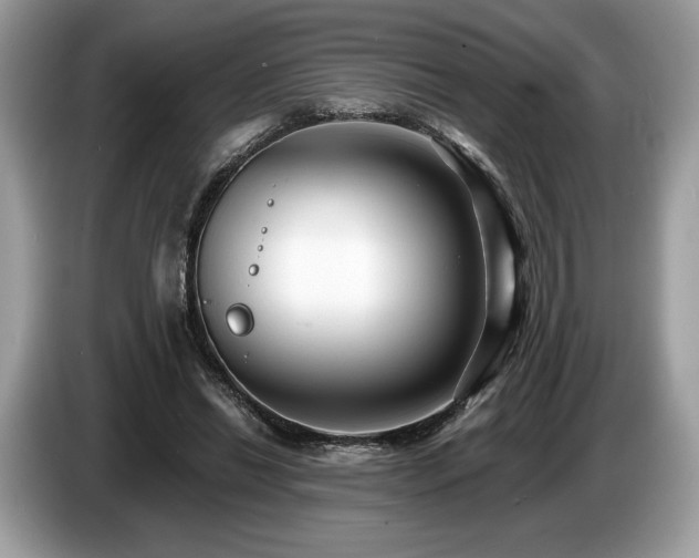 X0000087510446200704271125