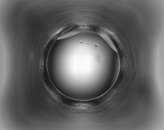 X0000087510448200704271125
