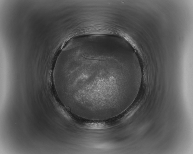 X0000087510449200704271125
