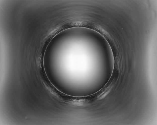 X0000087510450200704271125