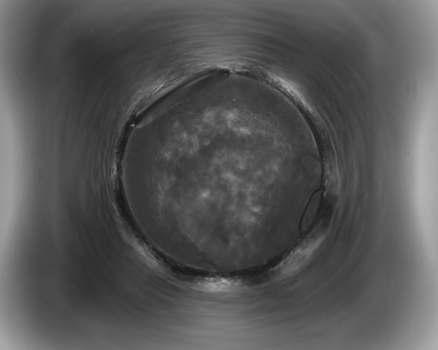 X0000087510453200704271125