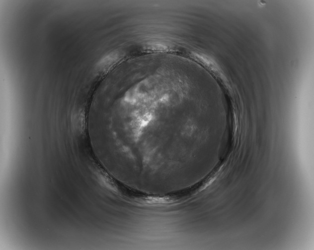 X0000087510457200704271126