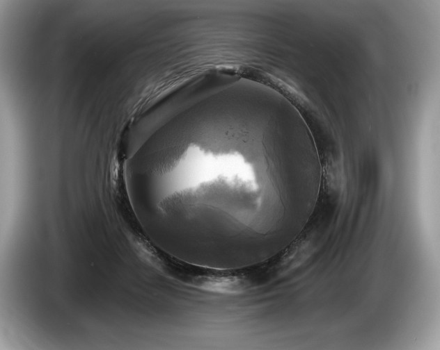 X0000087510458200704271126