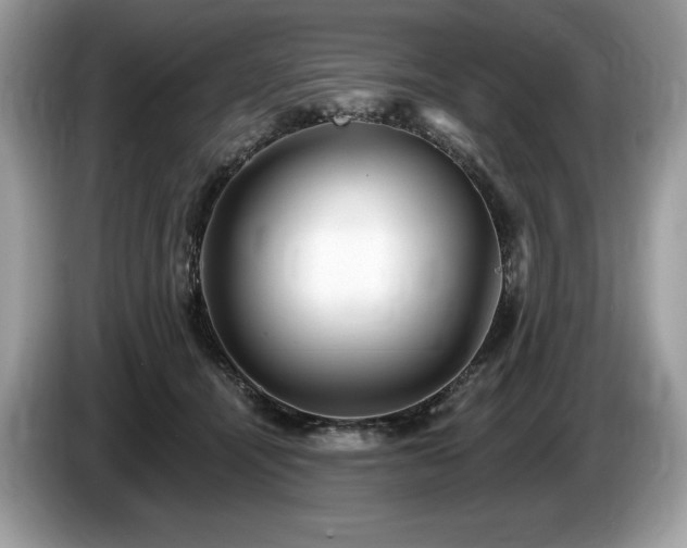 X0000087510464200704271126