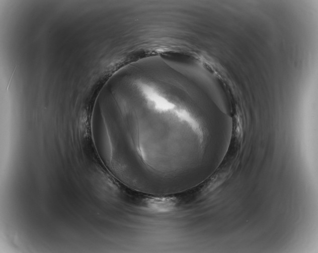 X0000087510465200704271126