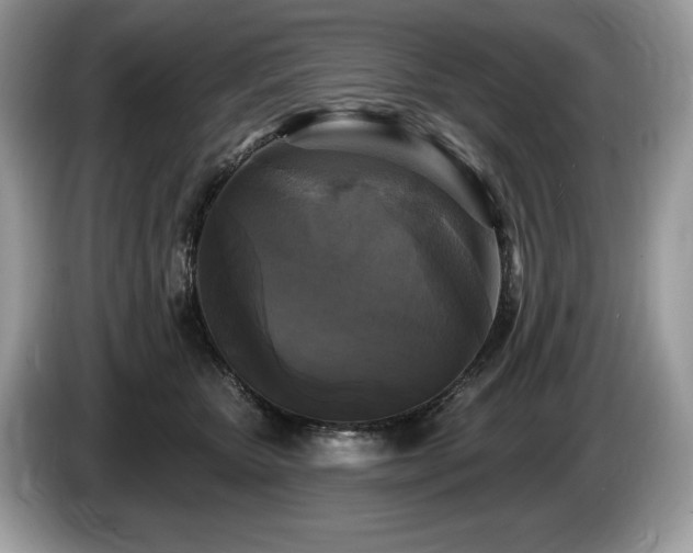 X0000087510467200704271126