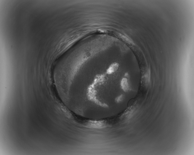 X0000087510469200704271126