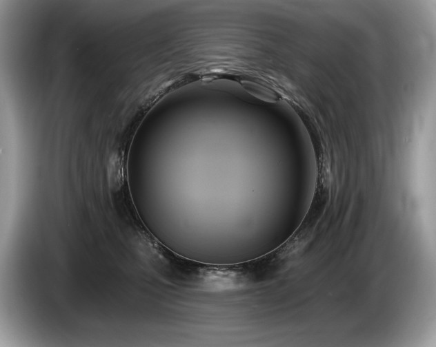 X0000087510471200704271126