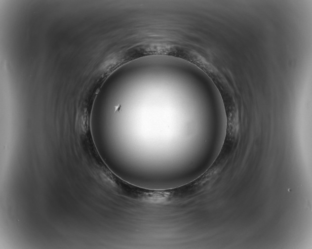 X0000087510474200704271126