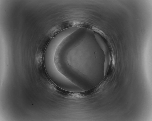 X0000087510475200704271126