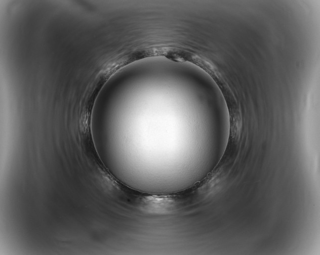 X0000087510477200704271126