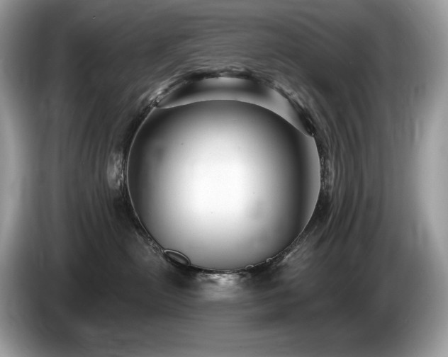 X0000087510478200704271126