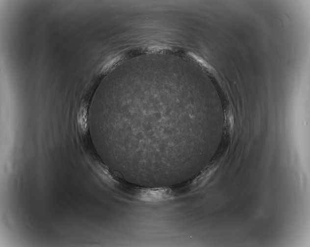 X0000087510479200704271126