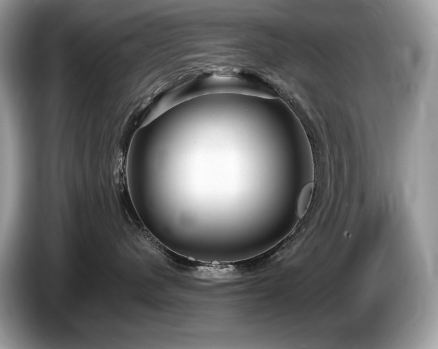 X0000087510480200704271126