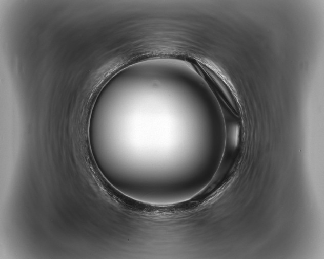 X0000087510481200704271125