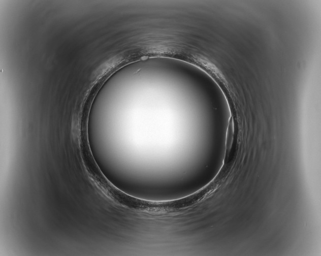 X0000087510482200704271125