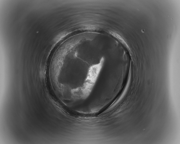 X0000087510483200704271125